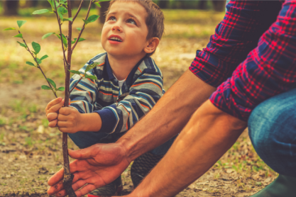 Dummy Post 4 – EN Dummy Post 4 – EN