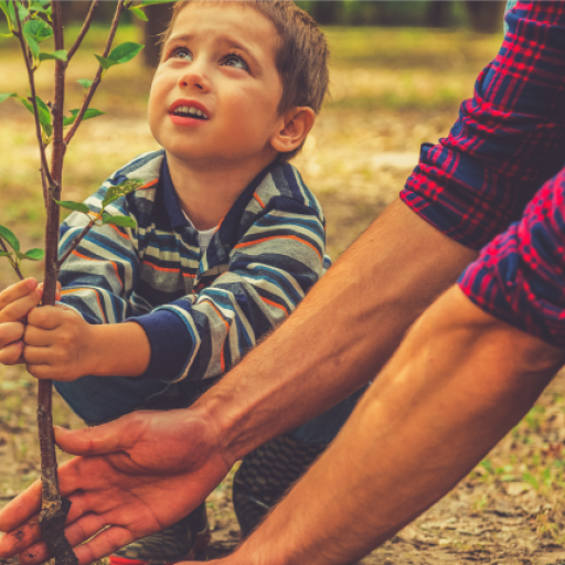 Projeto Cesta de Três