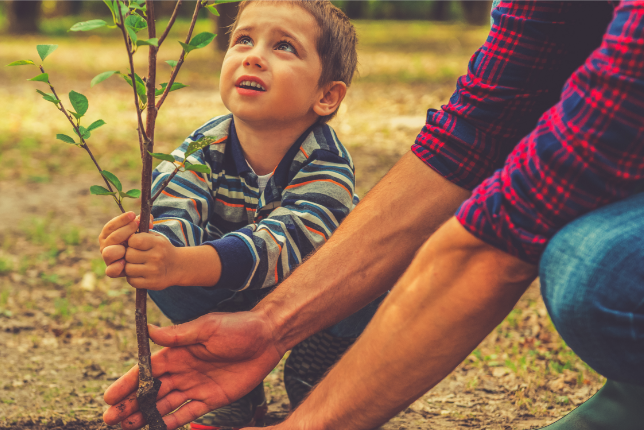 Progetto Tiro da Tre